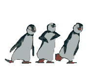 llama2.jpg