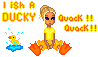 duckduck.gif