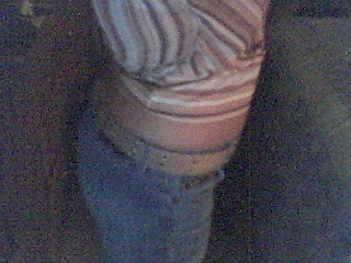 picture94.jpg